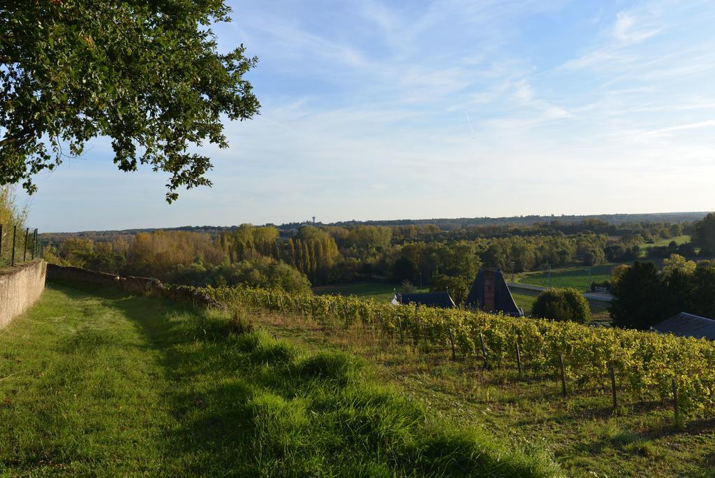 Gites Troglodytes Du Chateau De L'Etoile Vernou-sur-Brenne ห้อง รูปภาพ