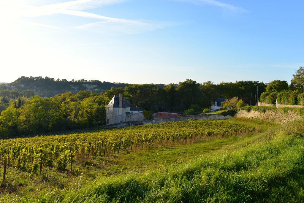 Gites Troglodytes Du Chateau De L'Etoile Vernou-sur-Brenne ห้อง รูปภาพ